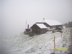 Österike/Austria in 2013-05